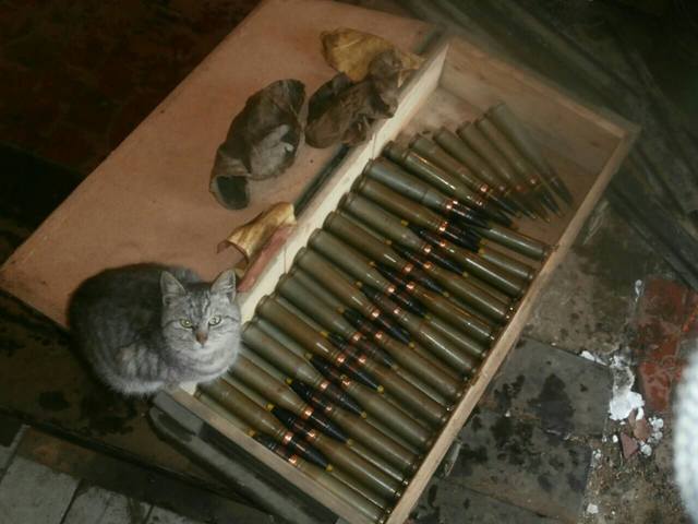 20163518_m.jpg