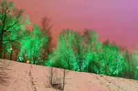 Вечером на Воробьёвых горах с цветной подсветкой деревьев. Фото Морошкина В.В.
