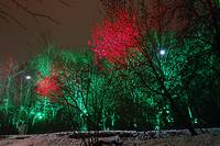 Деревья с разноцветной подсветкой в лесу на Воробьёвых горах. Фото Морошкина В.В.