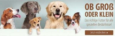 zooplus. Промо-коды: 10% / 5% скидки / подарки