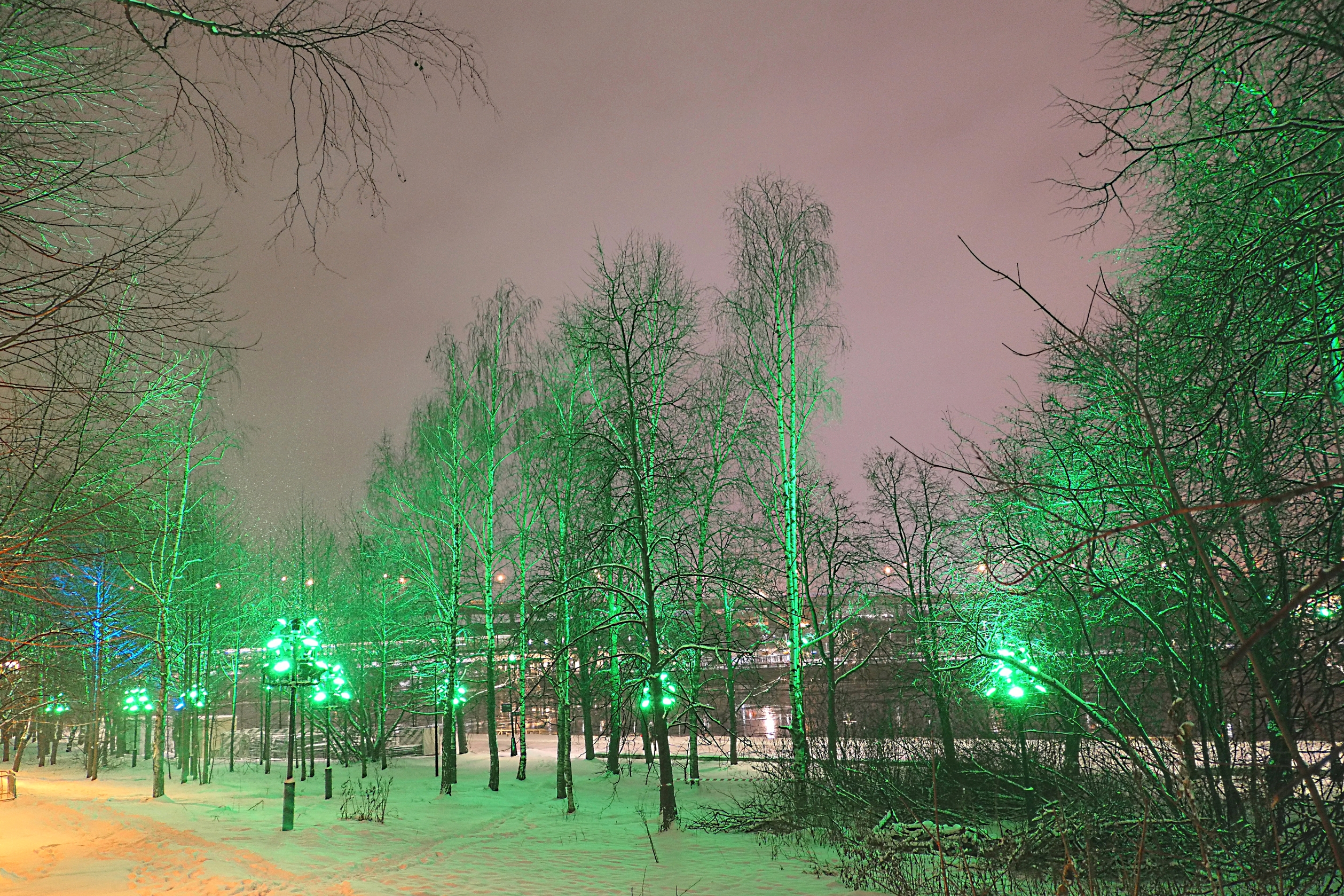 Парк Воробьёвых гор с цветной подсветкой. Фото Морошкина В.В.