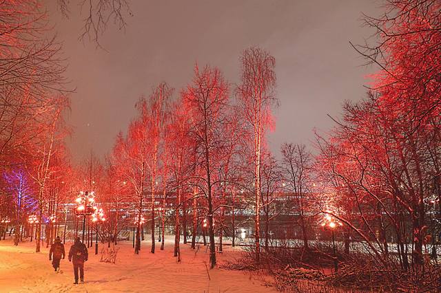 Парк Воробьёвых гор с цветной подсветкой. Фото Морошкина В.В.