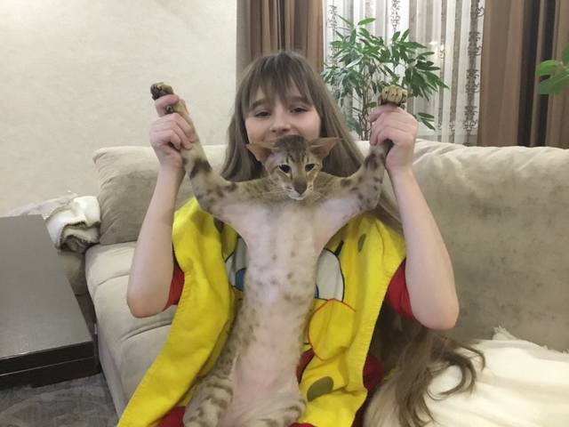 20294124_m.jpg