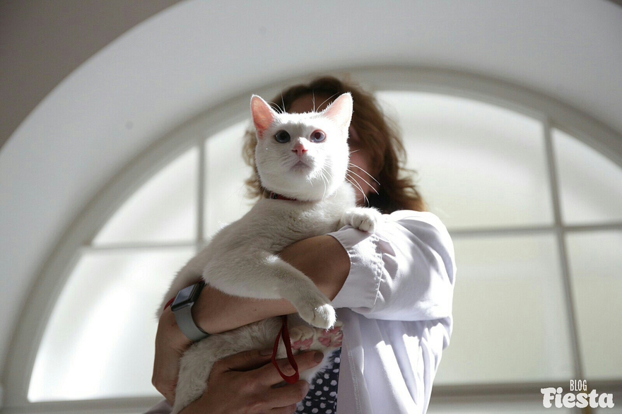 Кафе  "У пани Сони"