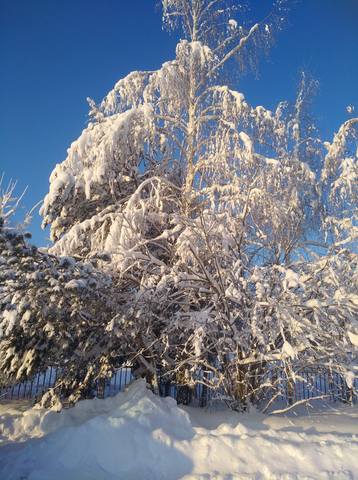 Чайная беседка