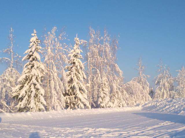 Чайная беседка