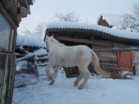 VFL.RU - ваш фотохостинг