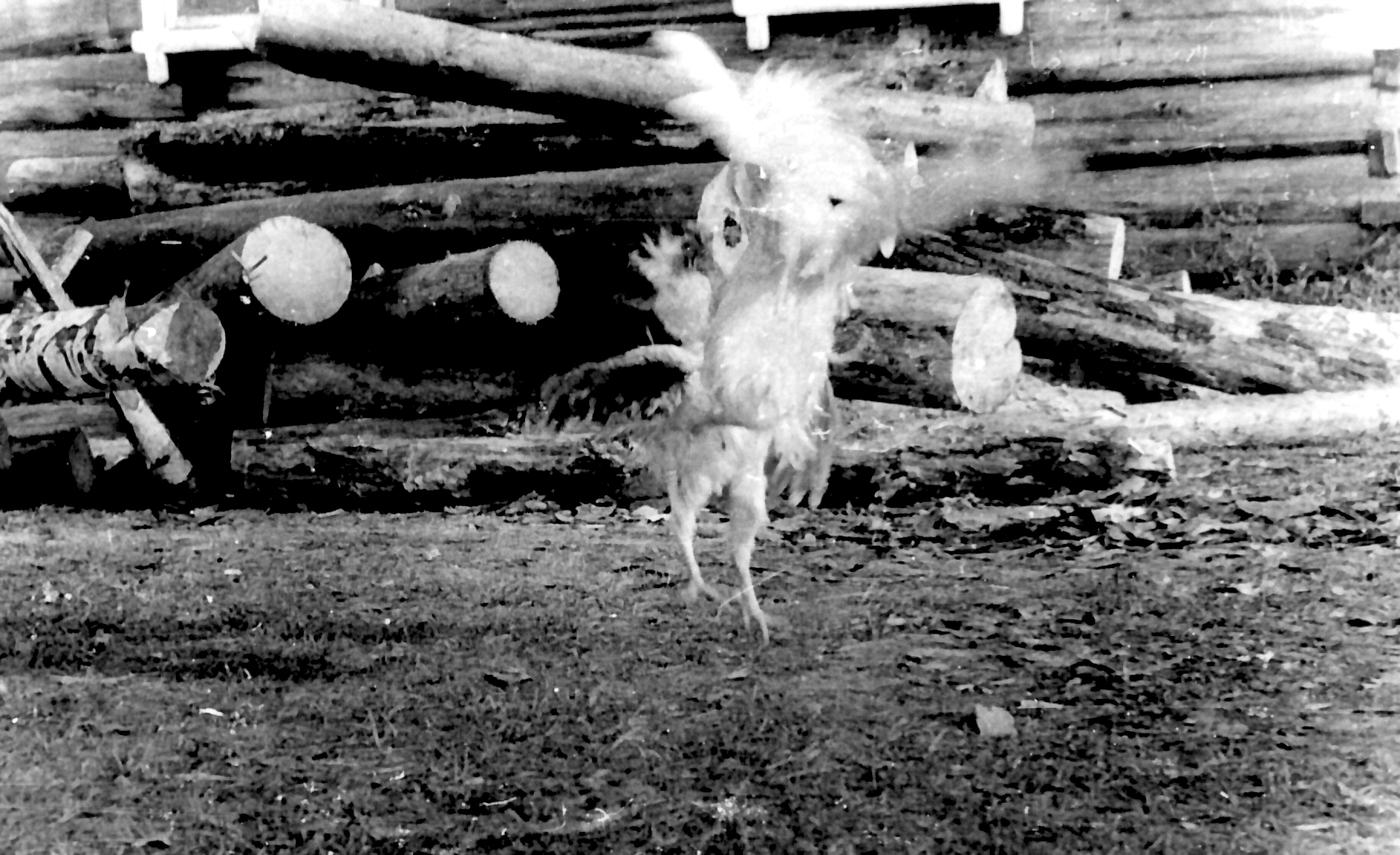 КУЗЕДЕЕВО 0055