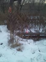 VFL.RU - ваш фотохостинг