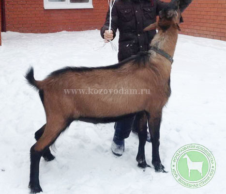 Элиаш 2 Татьяна Галушко