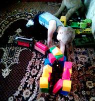 VFL.RU - ваш фотохостинг