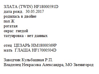 Злата анк Kulbashnaya Raisa