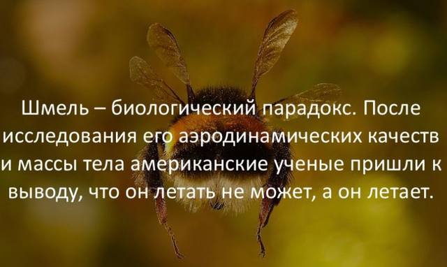 Кафе  "У пани Сони"