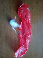 VFL.RU - ваш фотохостинг