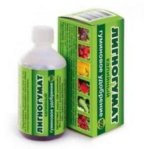 lignogumat kalijnyj 10ml vh auto 300 jpeg