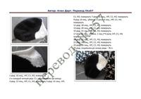 Черно-белый кот от Алана Дарта 20701568_s