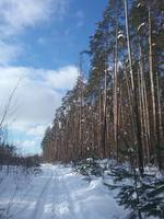 VFL.RU - ваш фотохостинг