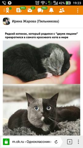 20732348_m.jpg