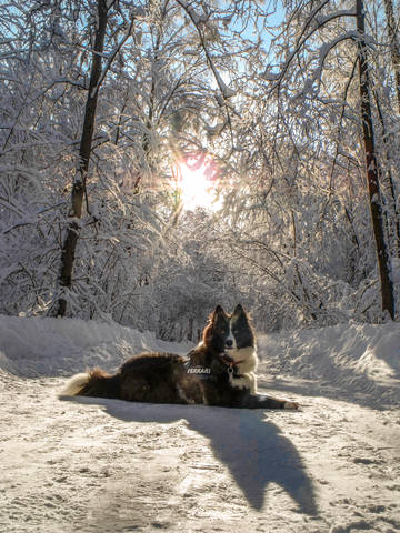 Есьм Царь и Космос 20756238_m