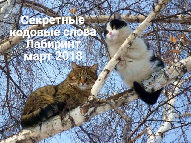 секретные кодовые слова лабиринт март 2018 секретные кодовые слова лабиринт март 2018