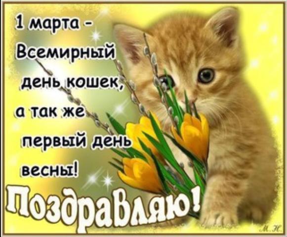 Кто сказал "Мяу"?