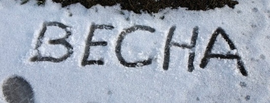 Кафе "У пани Сони"