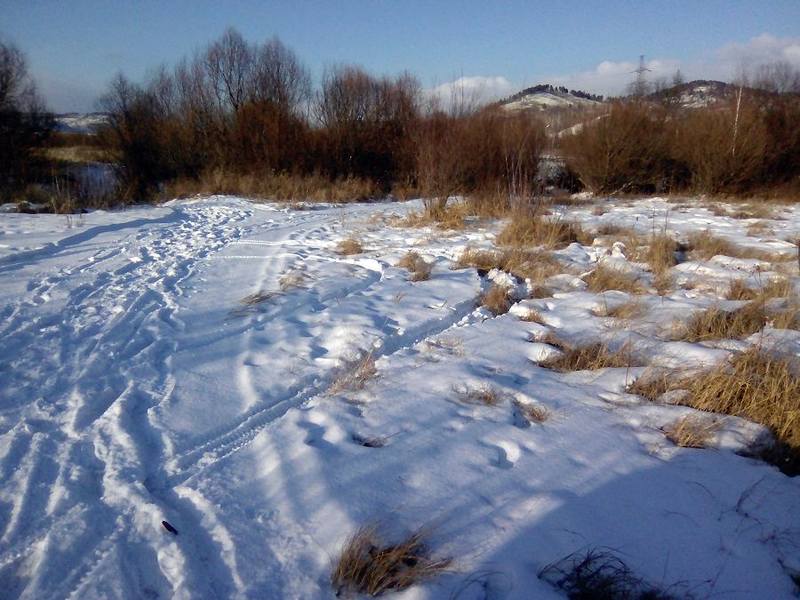 http://images.vfl.ru/ii/1519905025/c7cba9ac/20782054.jpg