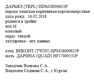 Дарьял анк Stalena