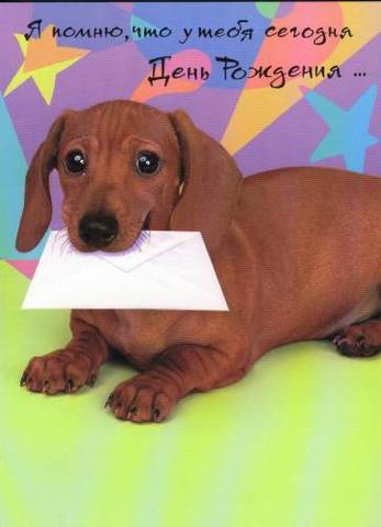 Живой Журнал Жульена