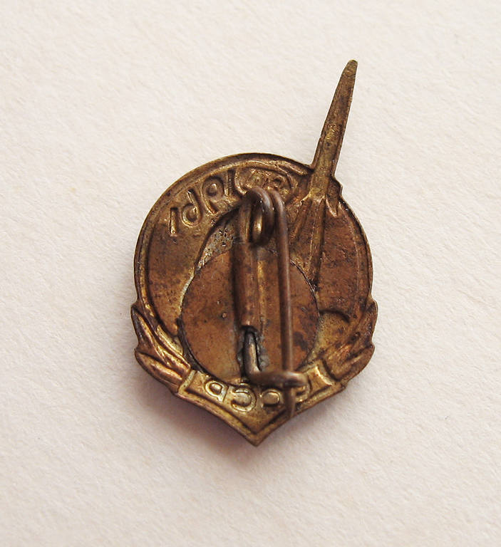 16742575.jpg