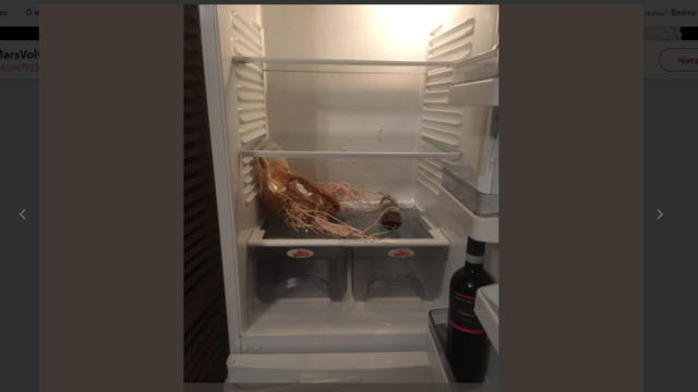 20842749_m.png