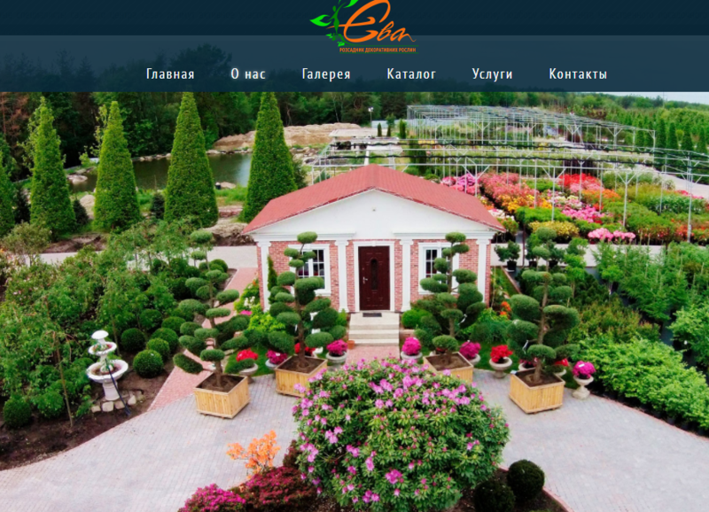  Садовый центр ЕВА - огромный выбор декоративных растений 
 
