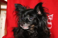 VFL.RU - ваш фотохостинг