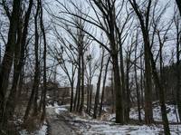 Публикувано изображение