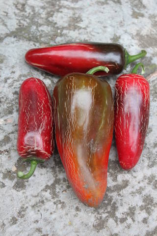 Чайная беседка