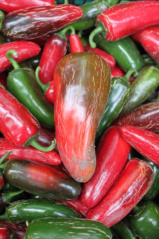 Чайная беседка