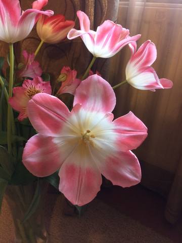 Чайная беседка