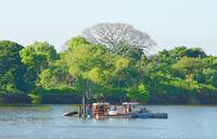 Небольшая река с зарослями сельвы по берегам возле парка Ла-Вента. Фото Морошкина В.В.