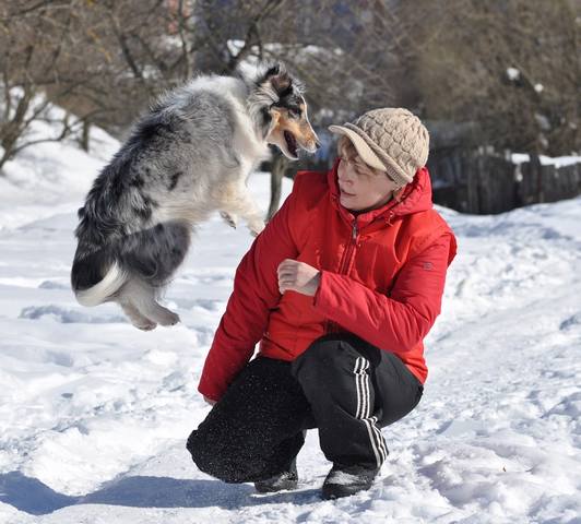 VFL.RU - ваш фотохостинг