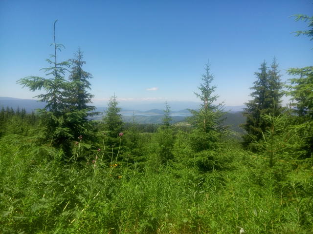 Публикувано изображение