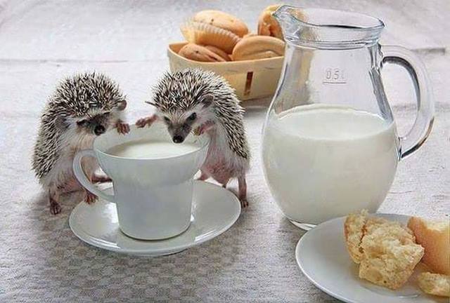 Чайная беседка