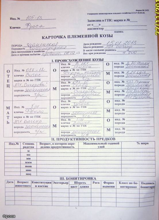 Фрося род Светлая Светлана