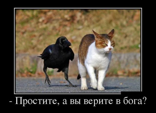 VFL.RU - ваш фотохостинг VFL.RU - ваш фотохостинг