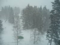 Метель 20 марта 2018