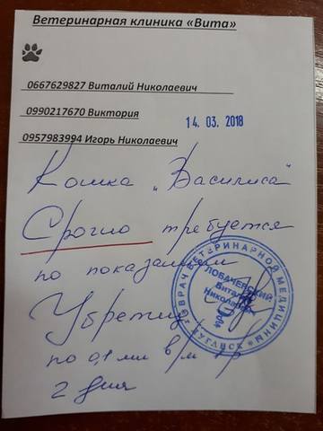 нужен срочно убретид Василисе нужен срочно убретид Василисе
