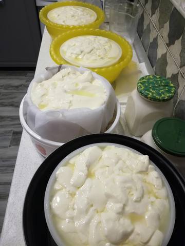 Сырные истории, или Сыроварня дома