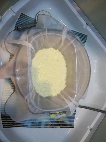 Сырные истории, или Сыроварня дома