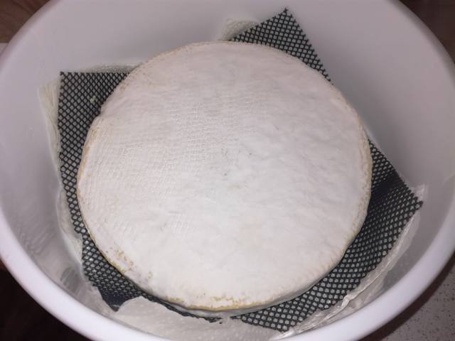 Сырные истории, или Сыроварня дома