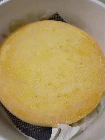 Сырные истории, или Сыроварня дома