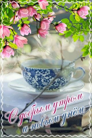 Чайная беседка